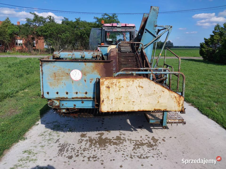 Kombajn ziemniaczany Bolko Z644 Kopaczki mazowieckie Anatolin
