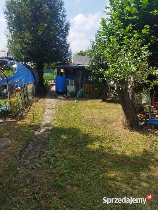 Działka ROD OŁAWKA Krakowska Wrocław dolnośląskie