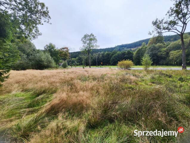 Działka Jarkowice 1772m2 Sprzedaż