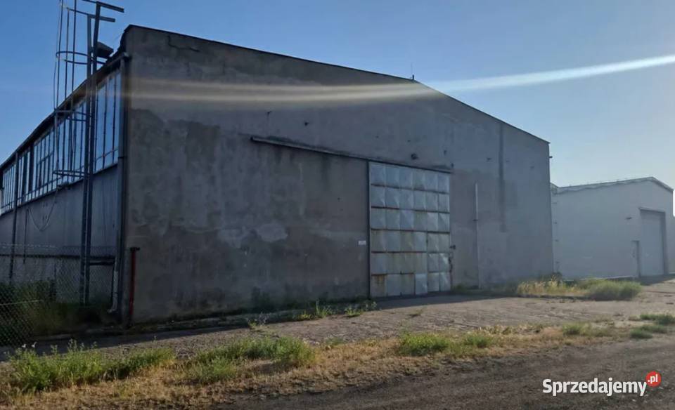 Hala Produkcja Magazyn Wynajem pomorskie Czersk