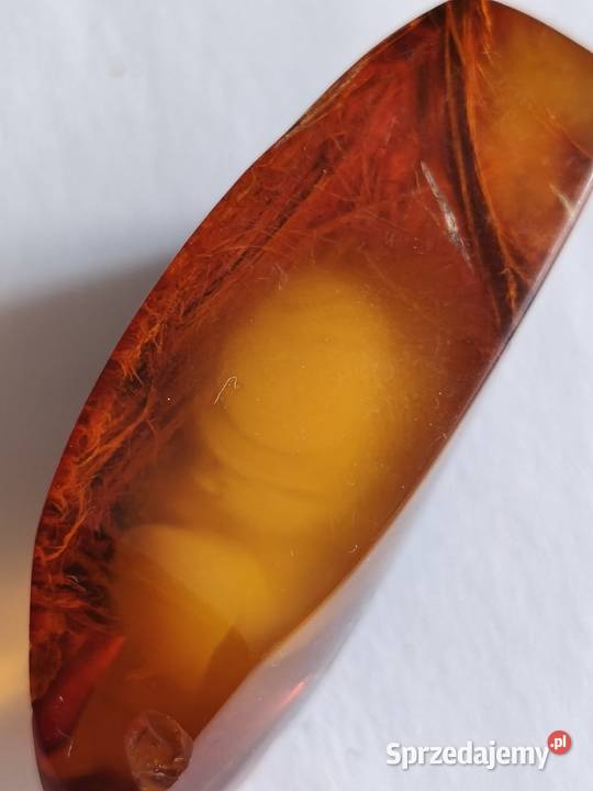 Bursztyn Inkluzja Roślinna Białystok sprzedam