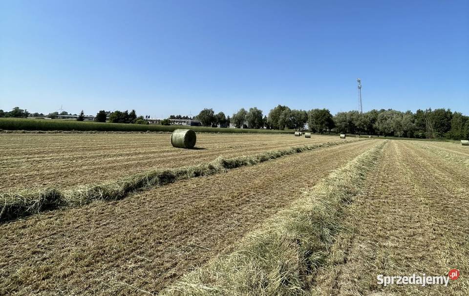Sianosianokiszonka baloty ze stodoły transport sprzedam