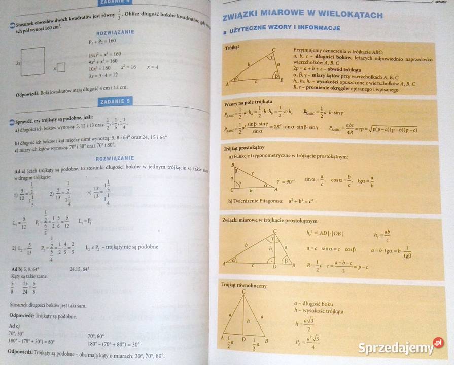 Matematyka Repetytorium maturzysty R Całka E Chełm sprzedam