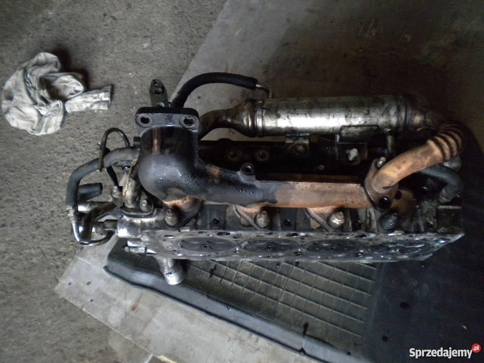 GŁOWICA TOYOTA AVENSIS D4D 02 116 20d Białystok sprzedam