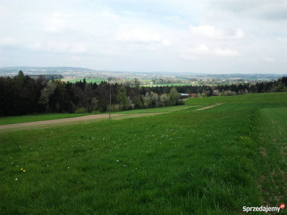Działka budowlana 100a na sprzedaż Bełdno