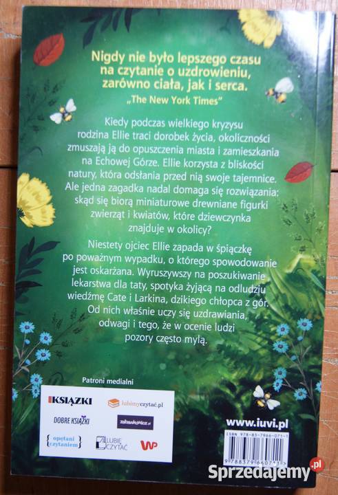 Lauren Wolk Echowa góra Parczew