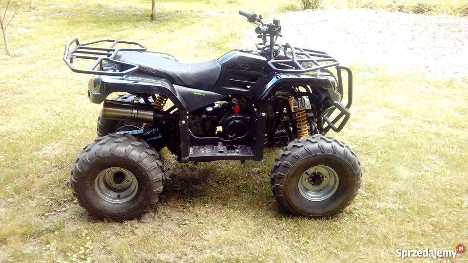 Quad Diablo 200 stan Pozostałe Hucisko Kwaśniowskie
