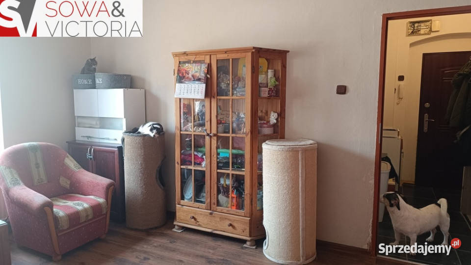 Słoneczne mieszkanie w ładnej kamienicy