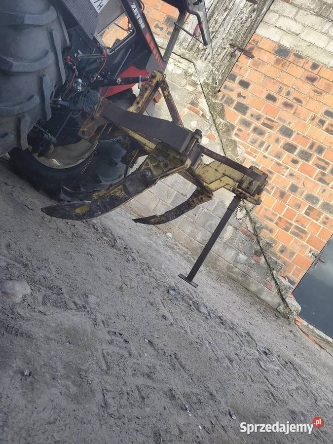 Głębosz trójka Głębosze wielkopolskie Dryja sprzedam