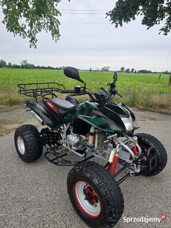 Quad Bashan Bs250S Ciecz Koła 10 Duża Rama Pozostałe kujawsko-pomorskie Kruszwica sprzedam