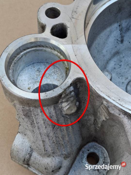 VOLVO FH4 RENAULT GAMA T OBUDOWA REDUKTORA Pozostałe Bieleń