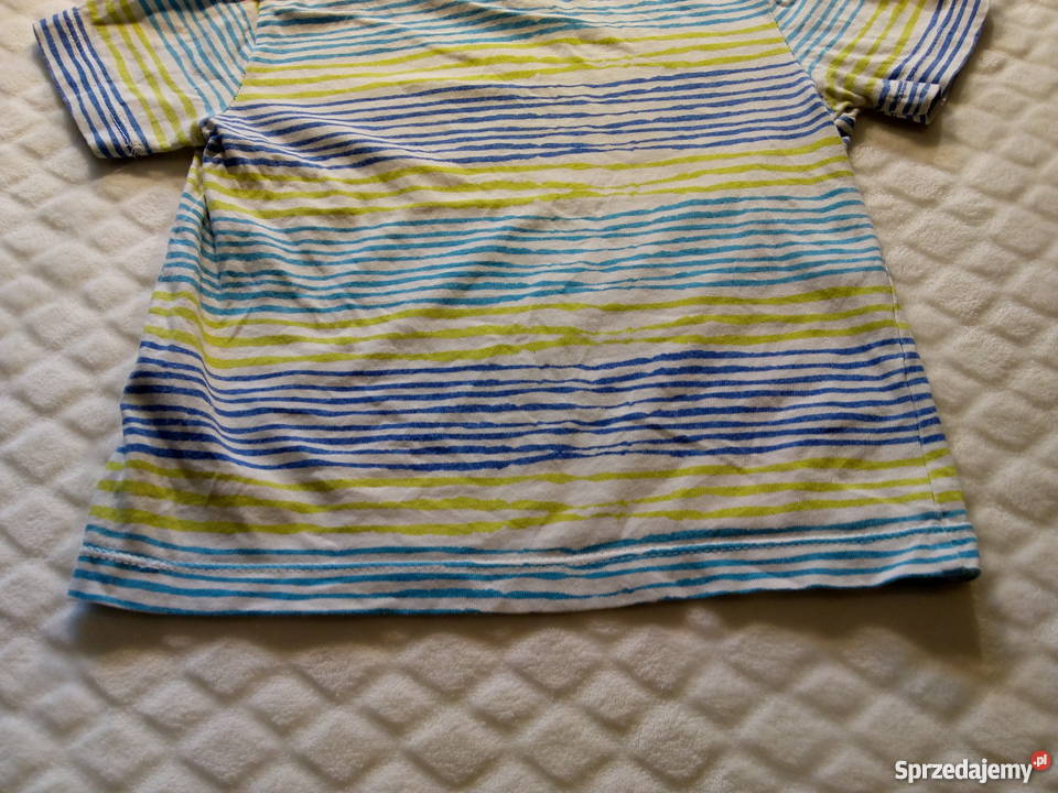 Bluzka chłopięca krótki rękaw Cool Club 92 Rogoźnik