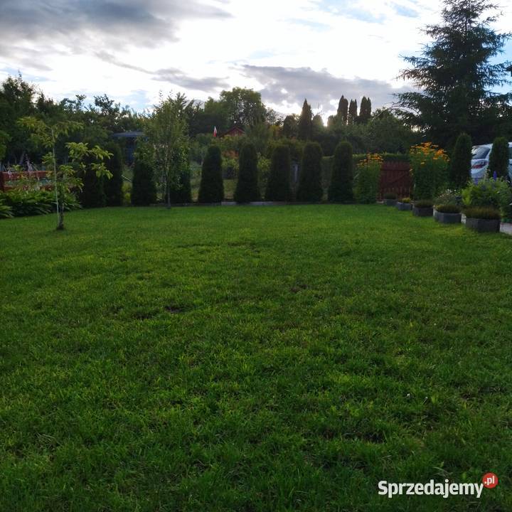 Sprzedam działkę ROD Bielany Elbląg