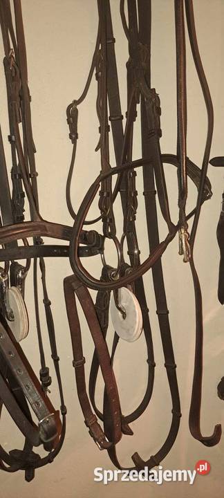 Uprząż ogłowia kantary mazowieckie Warka sprzedam