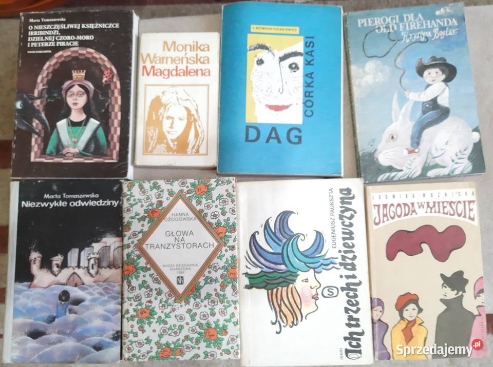 Ksiązki różne 23 sztuki Sosnowiec