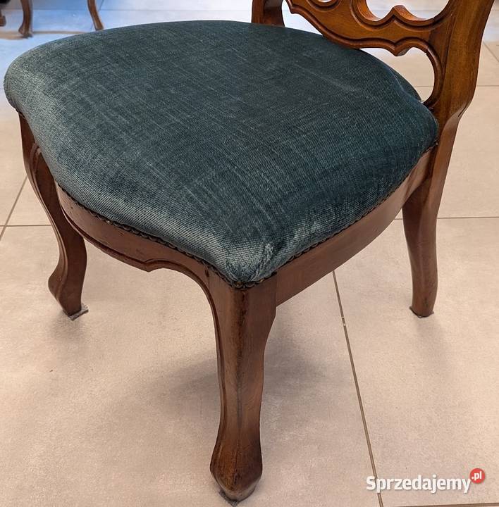 Klęcznik orzechowy Belgia sklep Dąbrowa Górnicza