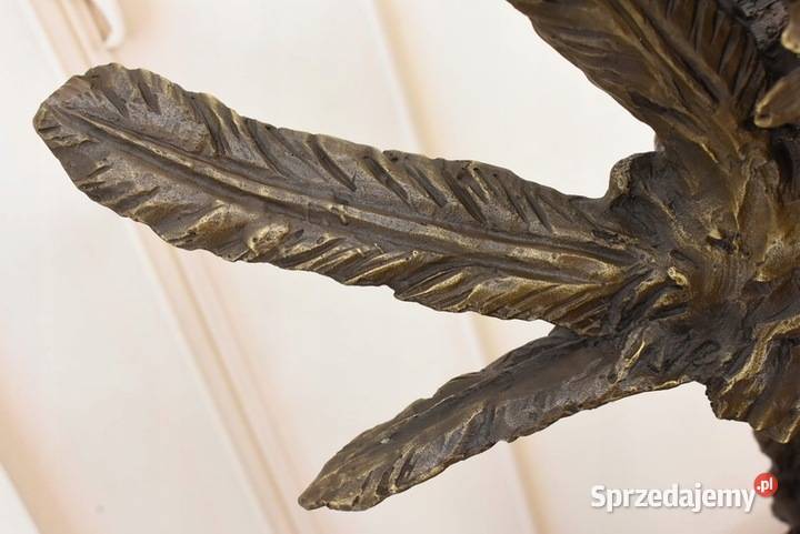 Popiersie Indianina z Orłem Indian Apacz Orzeł