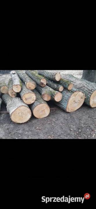 Drewno opałowe lipa Tuchów