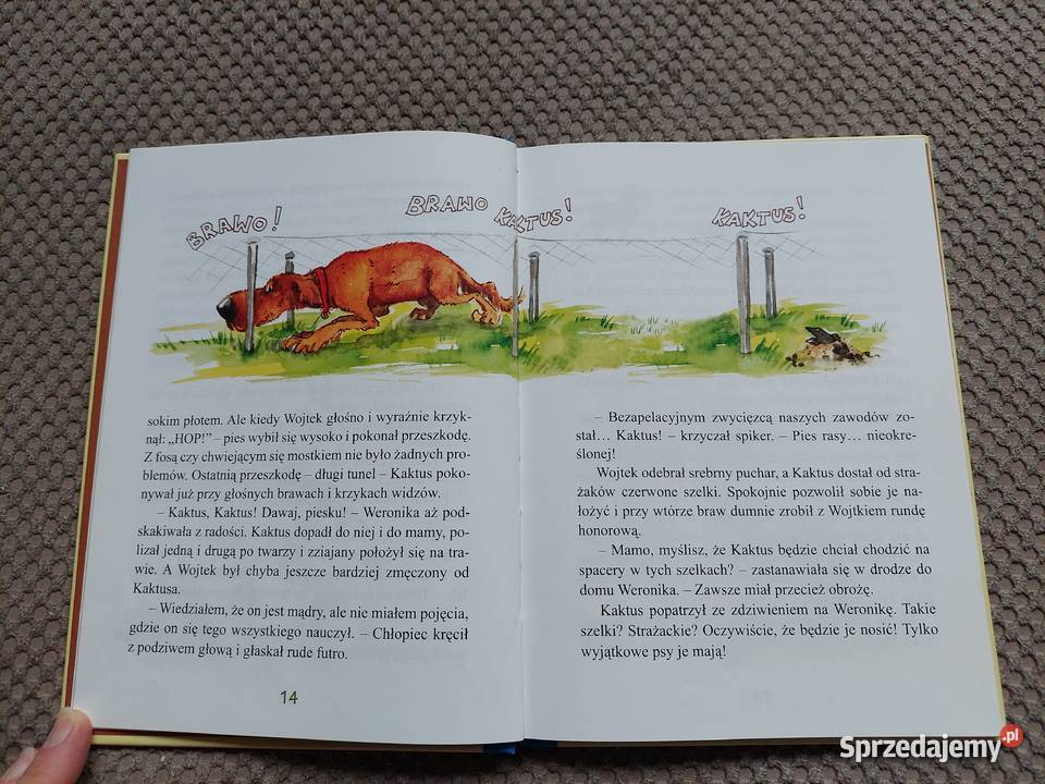 Kaktus szukaj Barbara Gawryluk Książki dla dzieci Kraków