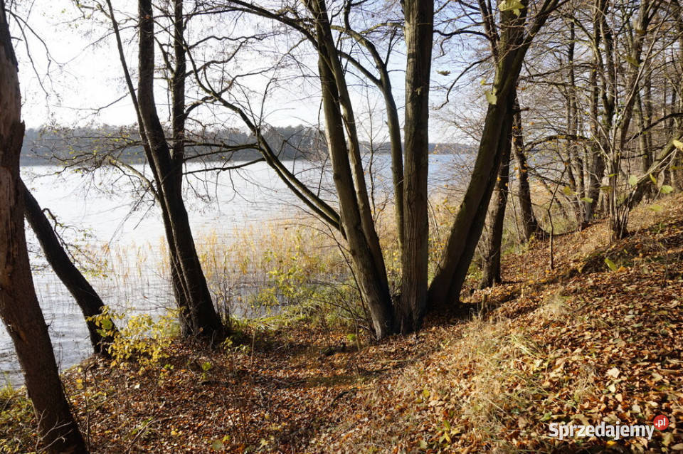 Działka z linią brzegową jeziora Ruś Mała