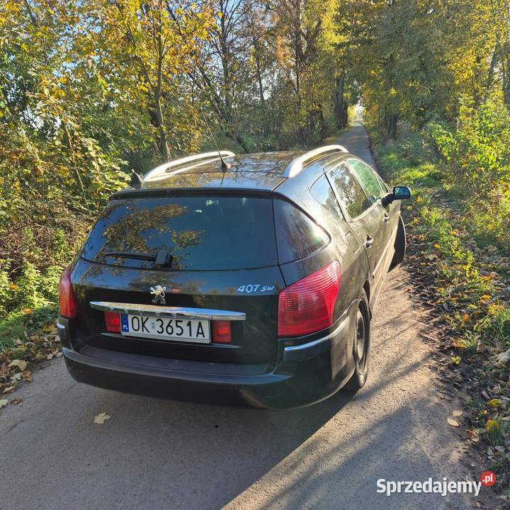 Peugeot 407 sw centralny zamek 407 Kędzierzyn-Koźle sprzedam