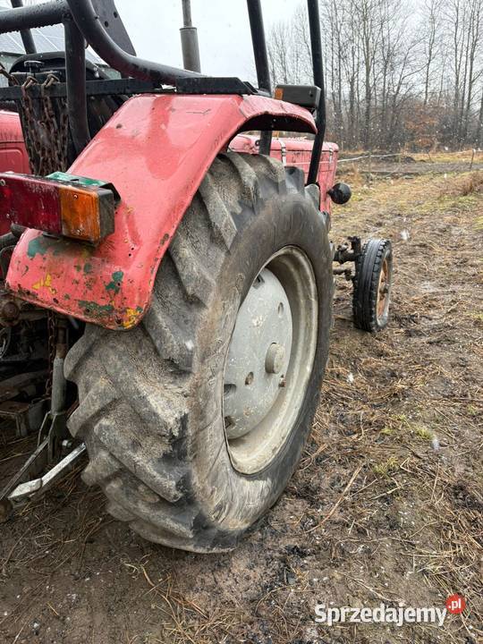 Ursus C360 sześćdziesiątka C355 Świecie