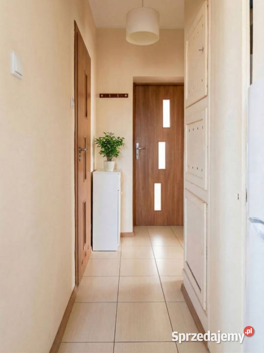 Przestronna kawalerka z piwnicą