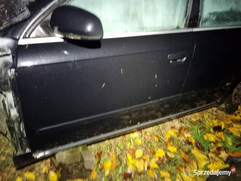 Audi A4 B7 8E0 LZ9Y Drzwi Przednie Tylne sprzedam