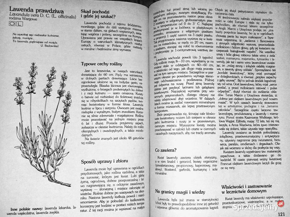 Zioła w polskim domu Danuta TyszyńskaKownacka Rok wydania 1989 Chełm sprzedam