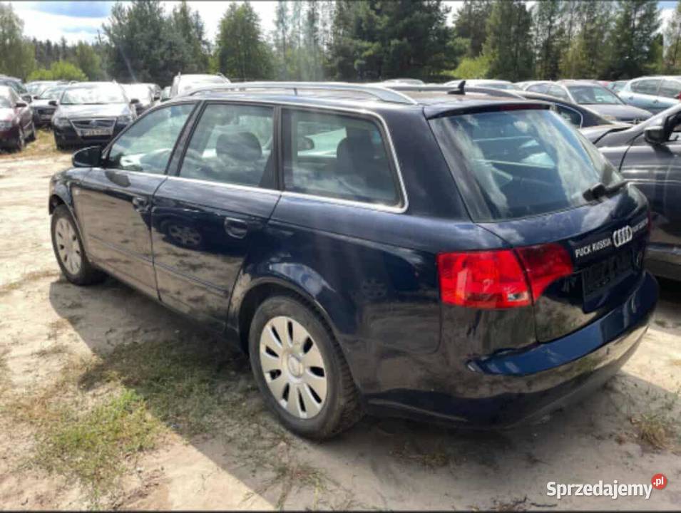 Audi A4 B7 25 TDI na części Pozostałe Sochaczew