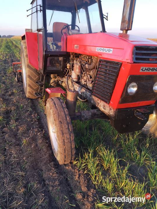 Sprzedam ursusa 1201 zarejestrowany Szczytniki sprzedam