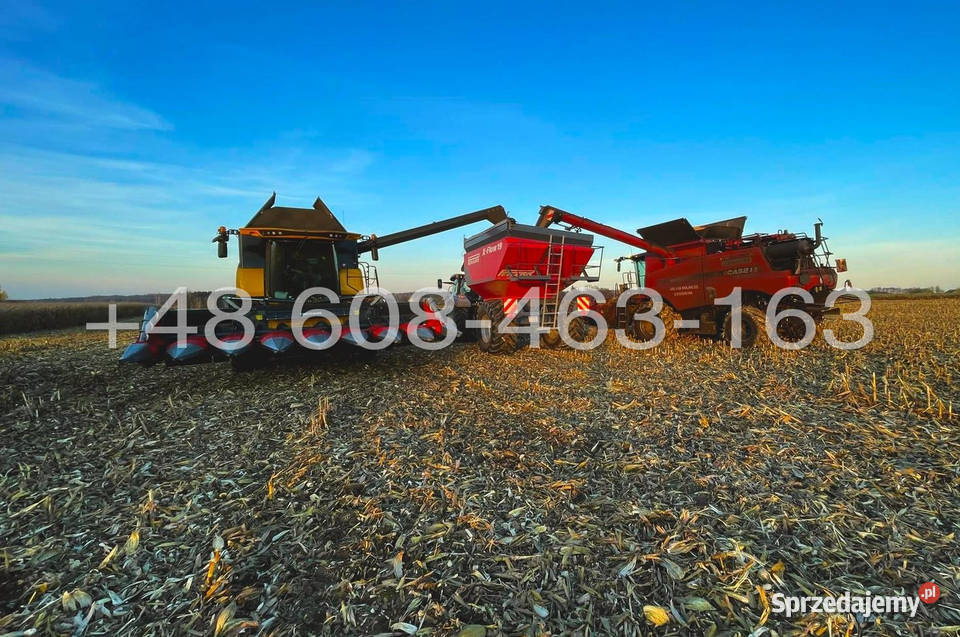 Przystawka do kukurydzy TECNOMAIS 5 rzędowa