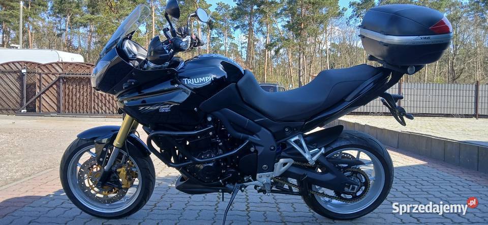 Triumph Tiger 1050 wielkopolskie Gniezno