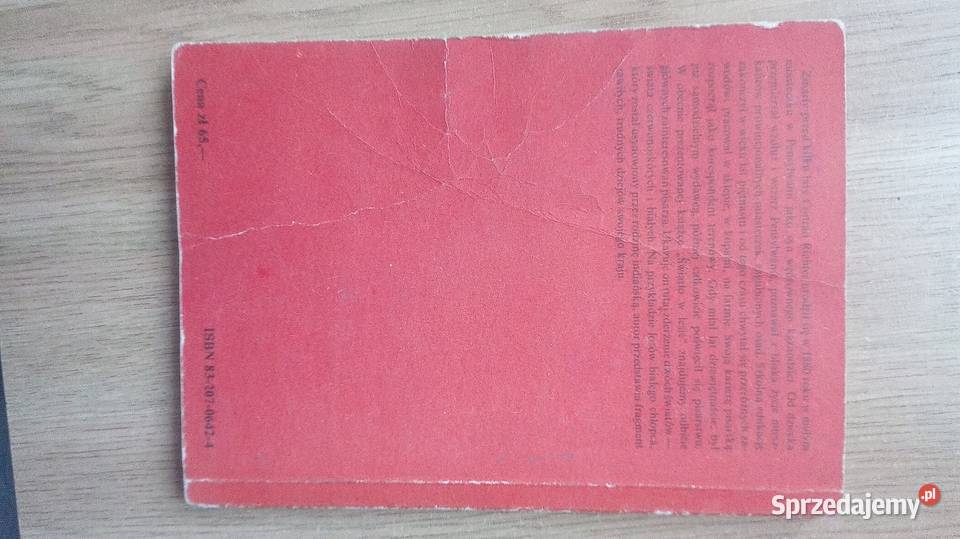 Światło w lesie Warszawa