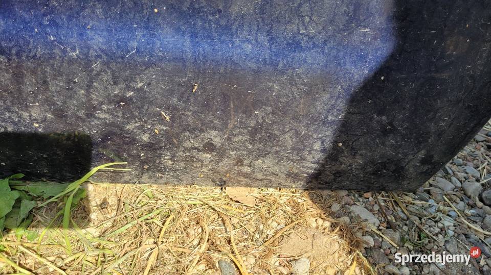 Drzwi Seat Alhambra Łagów