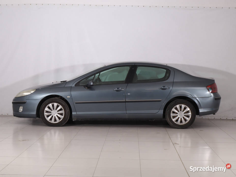 Peugeot 407 18