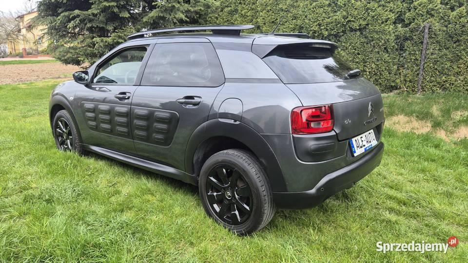 CACTUS 16 110 OPŁACONY BEZWYPADKOWY C4