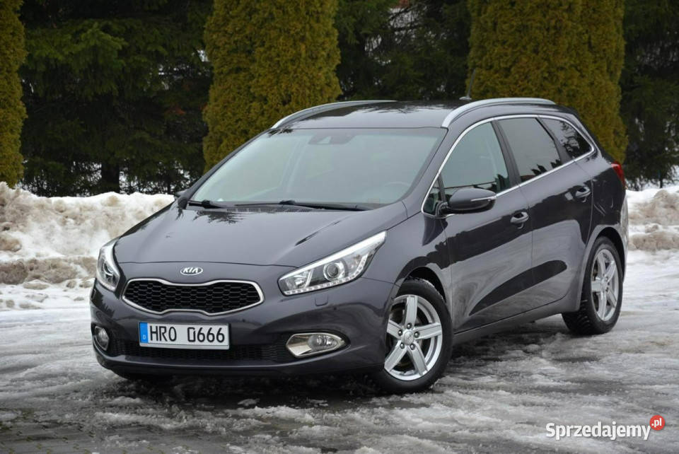 Kia Ceed Lift Navi Kamera Xenon Led Klimatronic ogranicznik prędkości mazowieckie Ostrów Mazowiecka