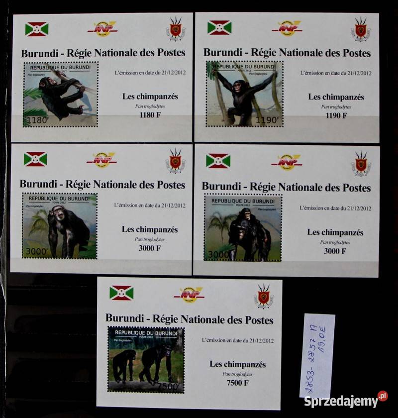 Burundi Oborniki sprzedam
