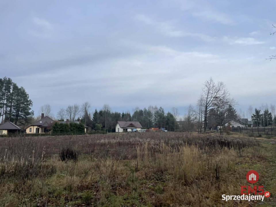 Działka 6000m2 Skrybicze Sprzedaż sprzedam