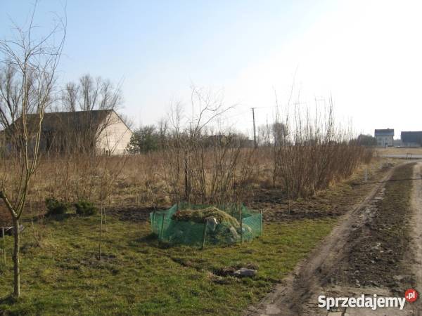 Sprzedam Dom Piasek Wielki Domy Piasek Wielki