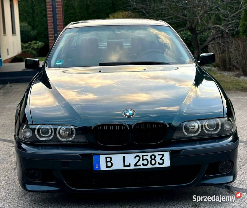 BMW 523 BMW 523i e39 25 170 Skóry Sedan Opłacona tempomat dolnośląskie Wrocław