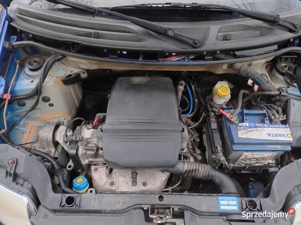 Fiat Panda 11 B 2009 r z Niemiec Bez Rdzy 55KM Elbląg