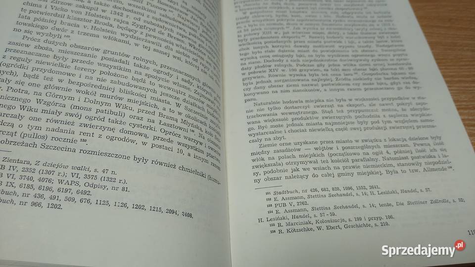 Miasta księstwa szczecińskiego do połowy XIV Gdańsk