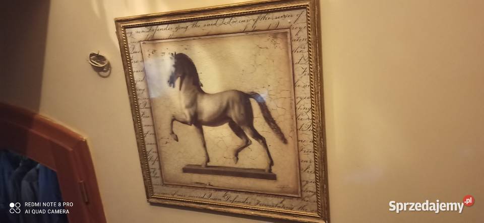 Obraz z koniem Sygnowany Replika pod szkłem Ramy pomorskie Gdańsk