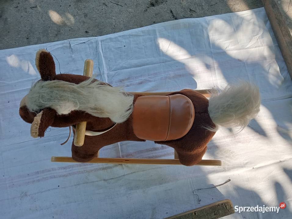 Konik na biegunach Warszawa sprzedam