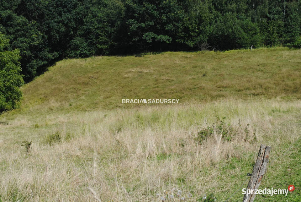Do sprzedaży grunt Chorowice 5802m2 budowlana