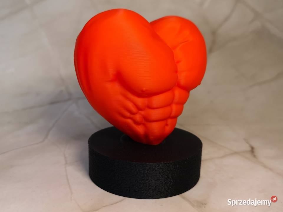 Rzeźba 3D Serce Siły anatomiczne serce z motywem świętokrzyskie Kielce sprzedam