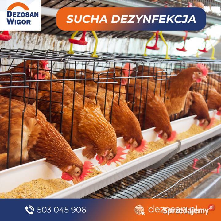 Dezosan 1000 preparat do suchej dezynfekcji Sulechów