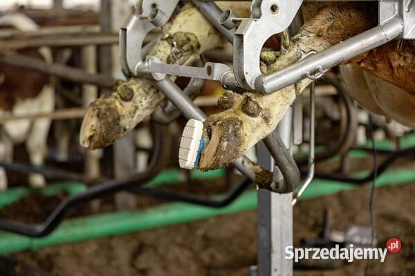 Technobase 2CB dwuskładnikowy klej do racic i Kamionna